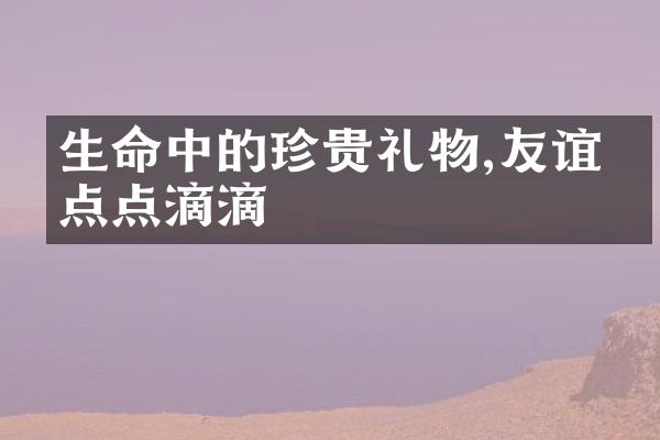 生命中的珍贵礼物,友谊的点点滴滴