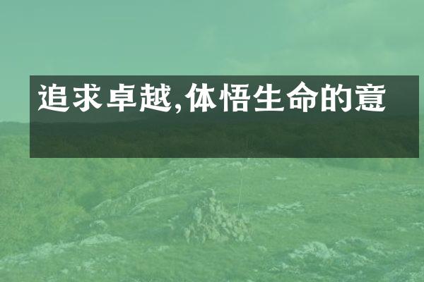 追求卓越,体悟生命的意义