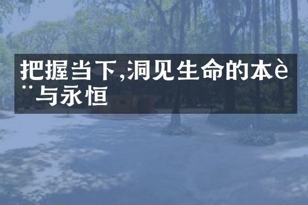 把握当下,洞见生命的本质与永恒