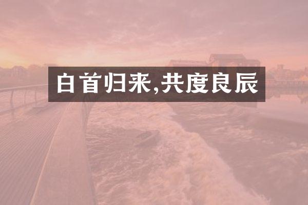 白首归来,共度良辰