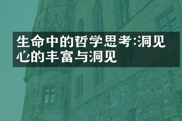 生命中的哲学思考:洞见内心的丰富与洞见