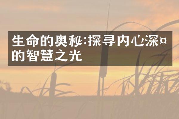 生命的奥秘:探寻内心深处的智慧之光