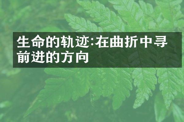 生命的轨迹:在曲折中寻找前进的方向