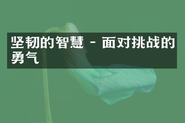坚韧的智慧 - 面对挑战的勇气