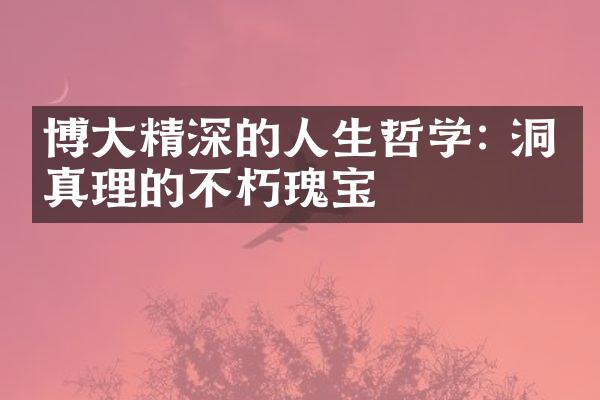 博大精深的人生哲学: 洞察真理的不朽瑰宝