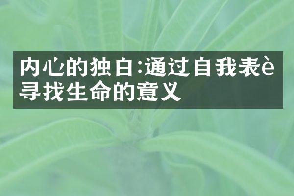 内心的独白:通过自我表达寻找生命的意义