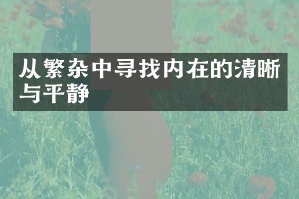 从繁杂中寻找内在的清晰与平静