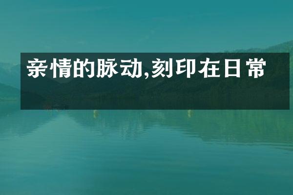 亲情的脉动,刻印在日常中
