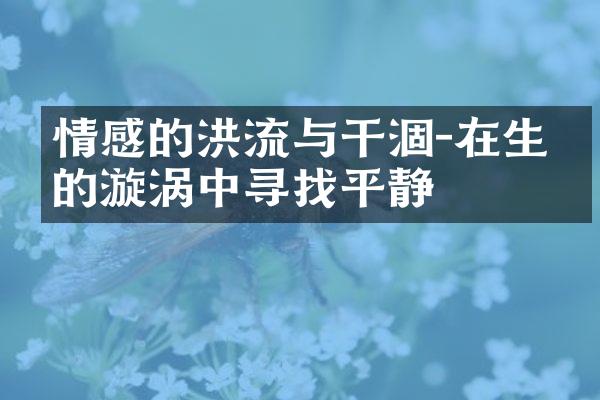 情感的洪流与干涸-在生命的漩涡中寻找平静