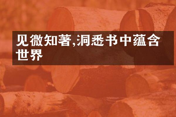 见微知著,洞悉书中蕴含的世界