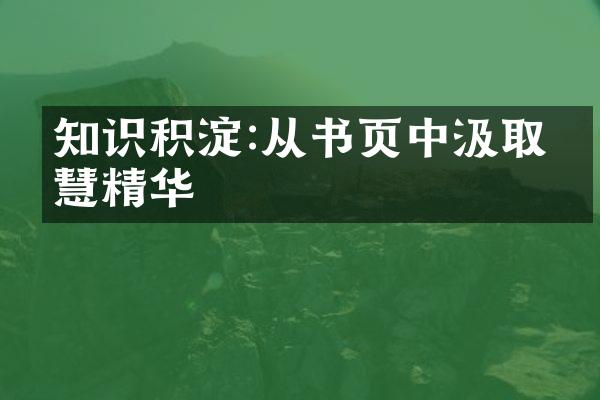知识积淀:从书页中汲取智慧精华