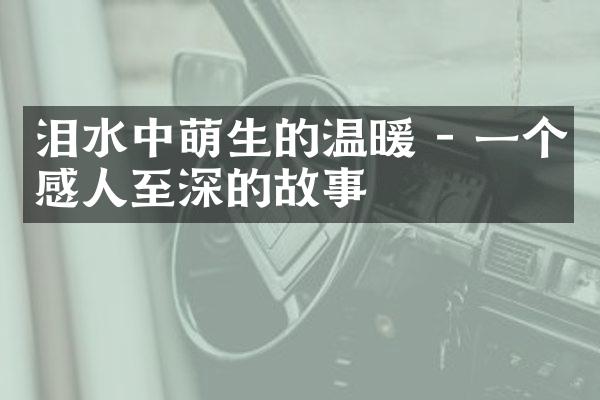 泪水中萌生的温暖 - 一个感人至深的故事