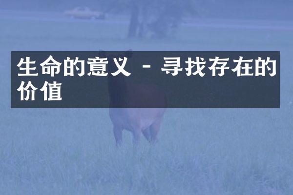生命的意义 - 寻找存在的价值