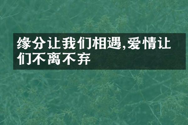 缘分让我们相遇,爱情让我们不离不弃