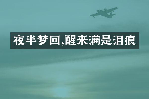 夜半梦回,醒来满是泪痕