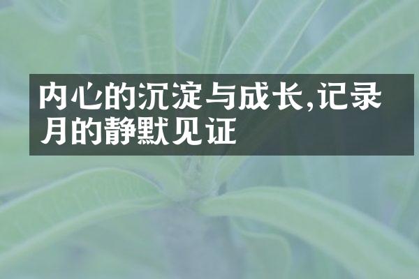 内心的沉淀与成长,记录岁月的静默见证