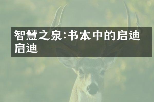 智慧之泉:书本中的启迪与启迪