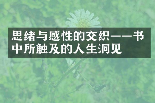 思绪与感性的交织——书中所触及的人生洞见
