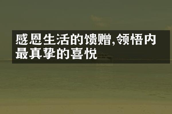 感恩生活的馈赠,领悟内心最真挚的喜悦