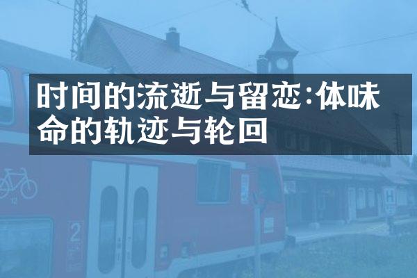 时间的流逝与留恋:体味生命的轨迹与轮回