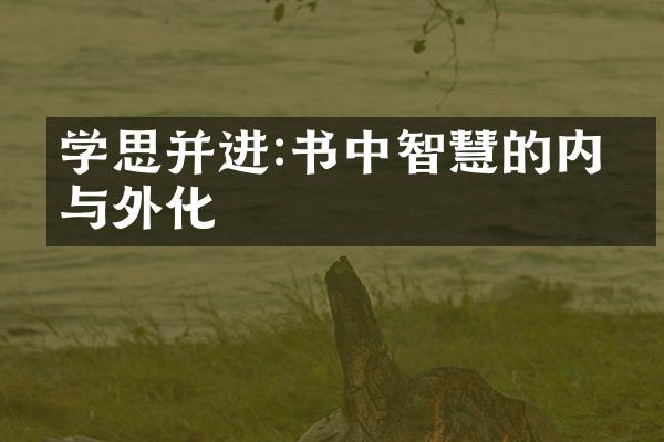 学思并进:书中智慧的内化与外化