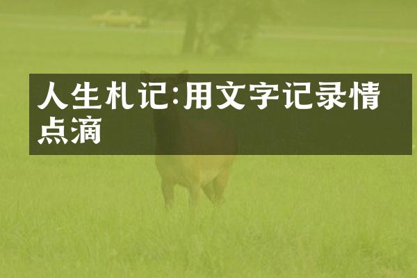 人生札记:用文字记录情感点滴
