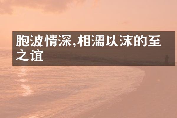 胞波情深,相濡以沫的至亲之谊