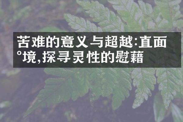 苦难的意义与超越:直面困境,探寻灵性的慰藉