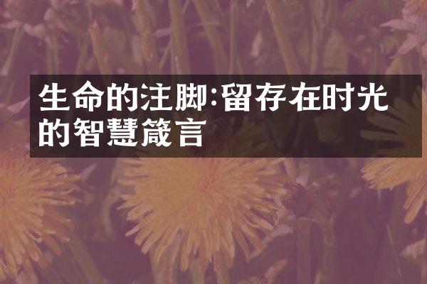 生命的注脚:留存在时光中的智慧箴言