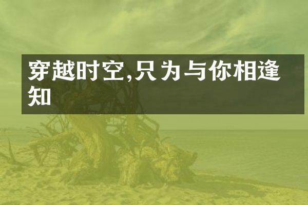 穿越时空,只为与你相逢相知