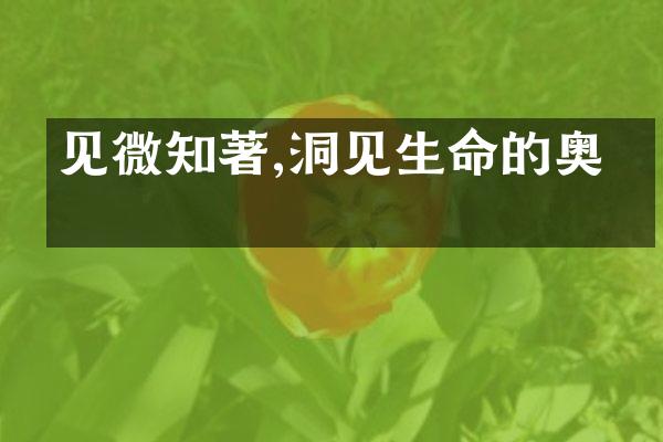 见微知著,洞见生命的奥义