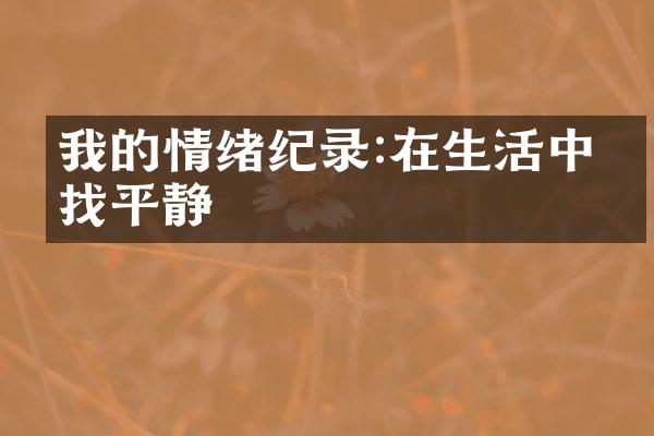 我的情绪纪录:在生活中寻找平静