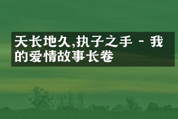 天长地久,执子之手 - 我们的爱情故事长卷