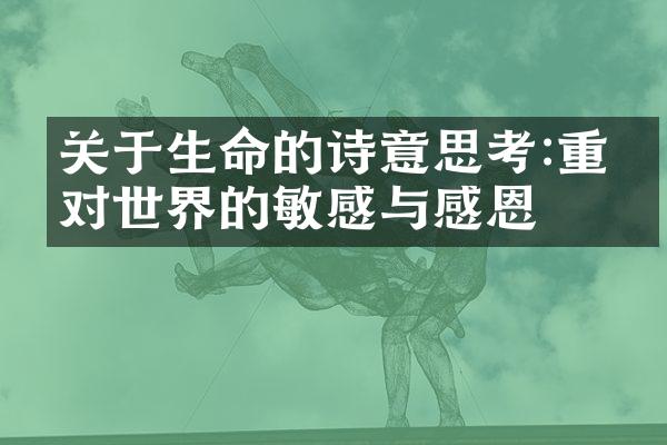 关于生命的诗意思考:重拾对世界的敏感与感恩