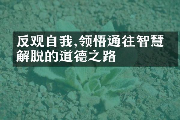 反观自我,领悟通往智慧与解脱的道德之路