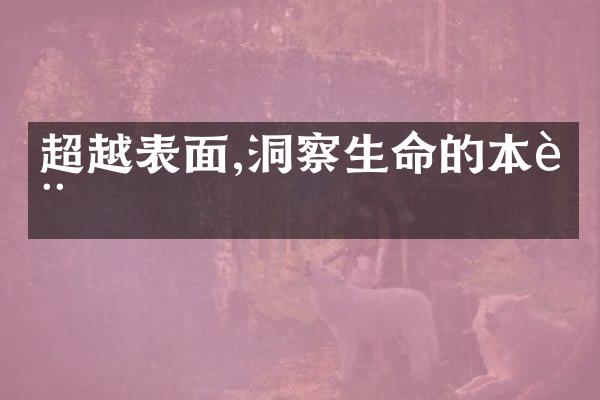 超越表面,洞察生命的本质