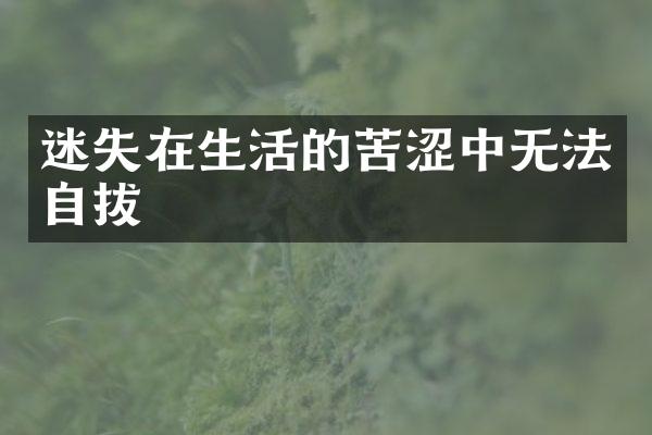 迷失在生活的苦涩中无法自拔