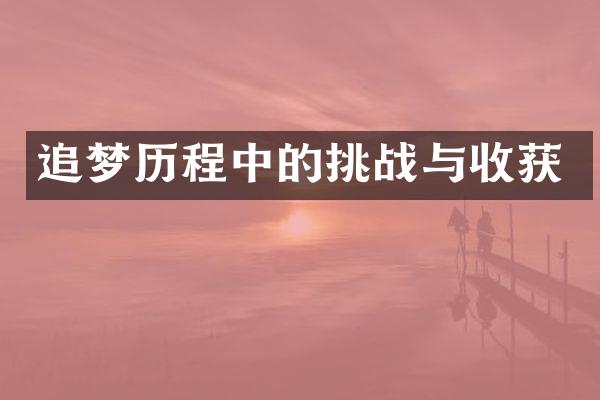 追梦中的挑战与收获