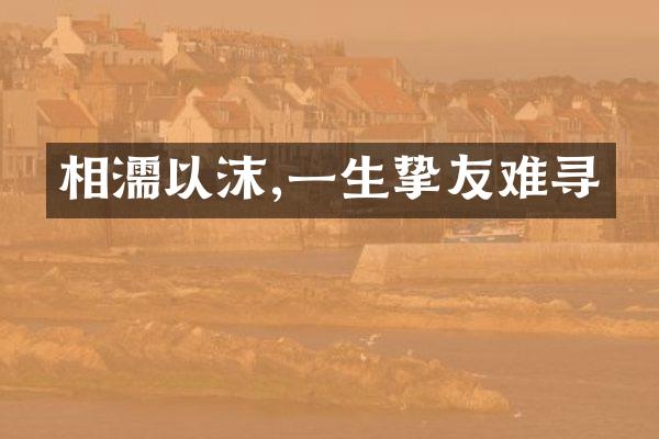 相濡以沫,一生挚友难寻