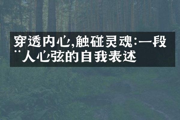 穿透内心,触碰灵魂:一段动人心弦的自我表述