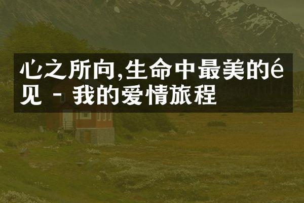心之所向,生命中最美的遇见 - 我的爱情旅程