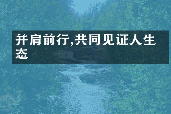 并肩前行,共同见证人生百态