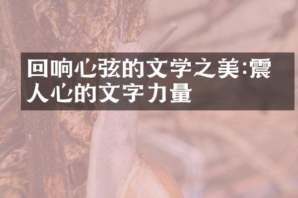 回响心弦的文学之美:震撼人心的文字力量