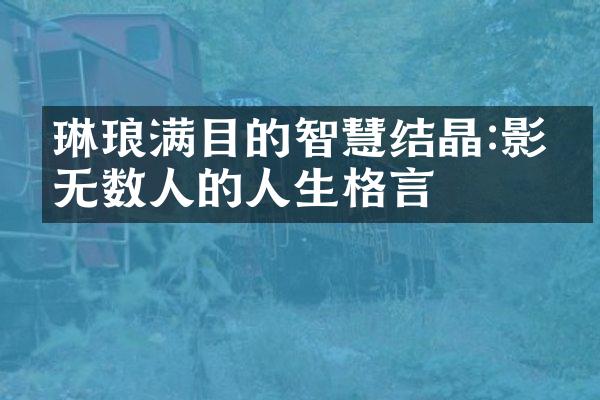 琳琅满目的智慧结晶:影响无数人的人生格言