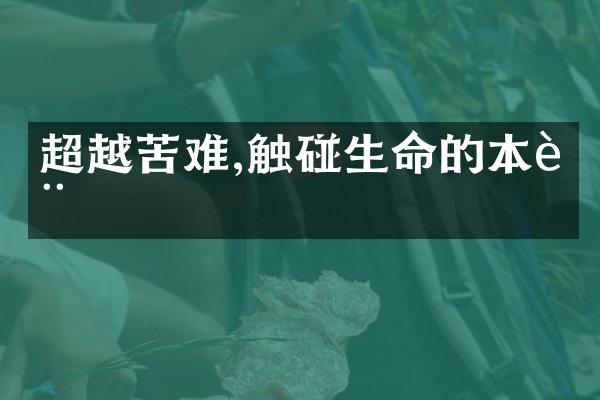超越苦难,触碰生命的本质