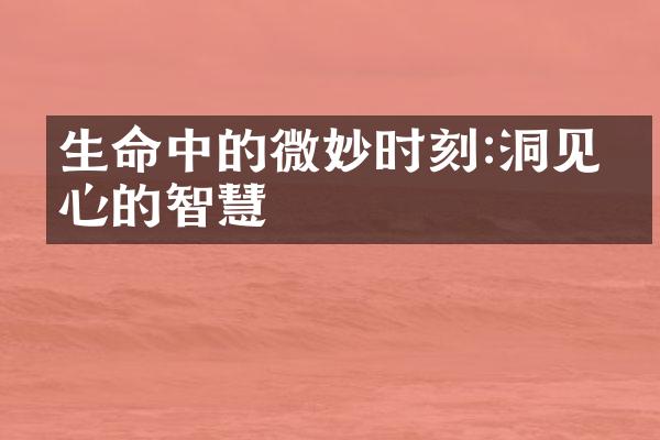 生命中的微妙时刻:洞见内心的智慧