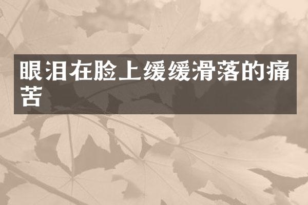眼泪在脸上缓缓滑落的痛苦