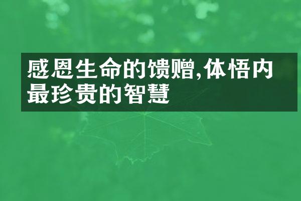 感恩生命的馈赠,体悟内心最珍贵的智慧