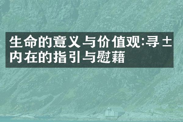 生命的意义与:寻求内在的指引与慰藉
