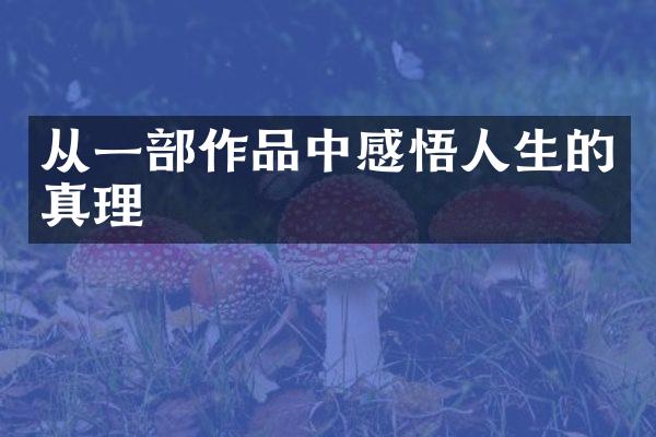 从一作品中感悟人生的真理
